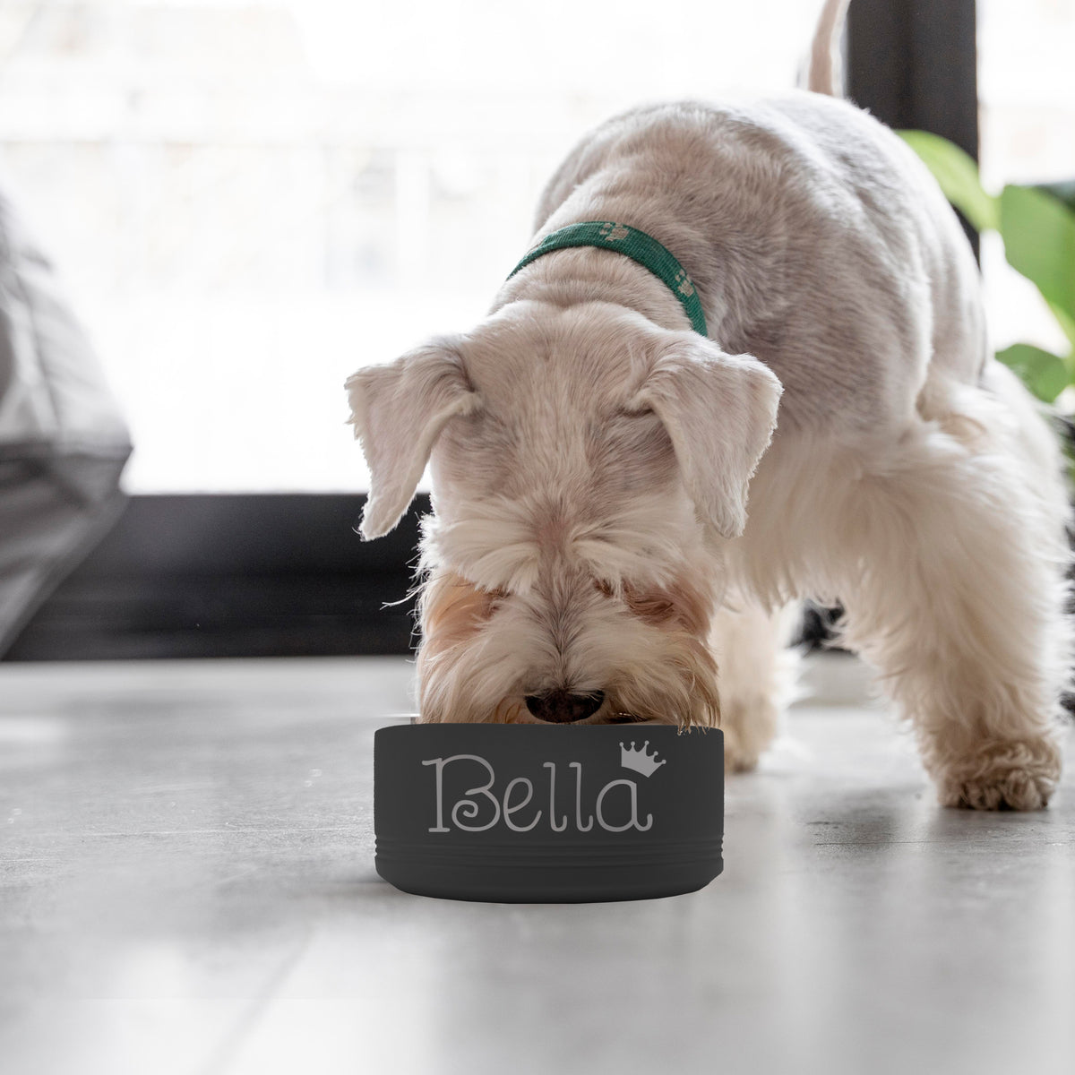Personalized Stainless Steel Dog, Cat or Pet Bowl for Water and Food with Non Slip Bottom
